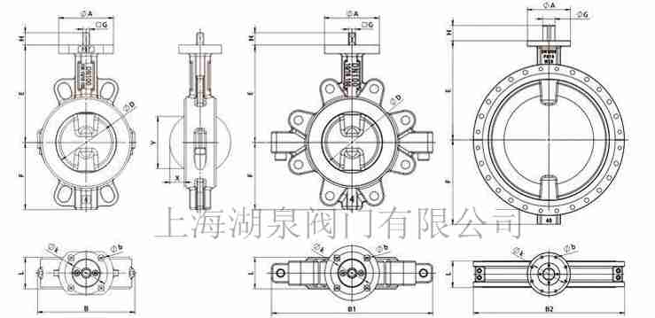 全衬四氟蝶阀D71F4